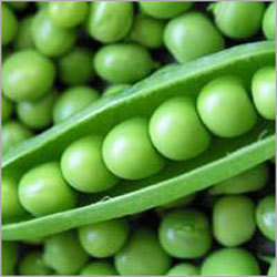 Fresh Shelling Peas