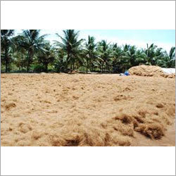 Coir Fibre