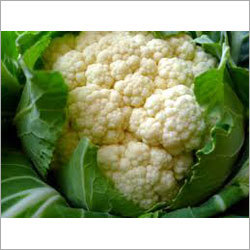 Cauliflower