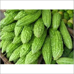 Bitter Gourd