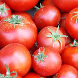 Tomatoes