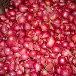 Small Onion
