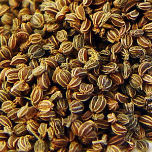 Celery Seeds Celery Seeds