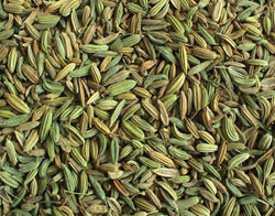 Fennel Seeds Fennel Seeds