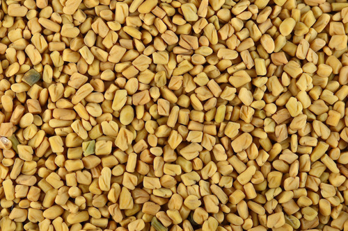 Fenugreek seeds Fenugreek seeds