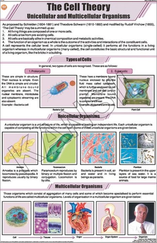 The Cell Theory Chart