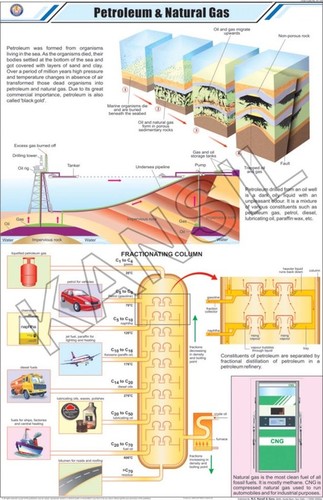 Petroleum & Natural Gas Chart