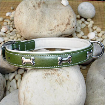 Designer Dog Collars
