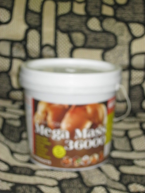 1664 - Plastic 5kg, 15cm Diameter, 20cm Height | Mass Gain, Muscle Growth, Strength Boost, High Protein