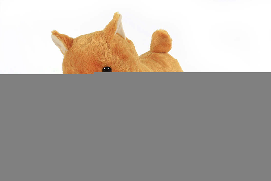 Soft Animal toys