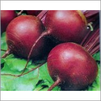 Fresh Beetroot