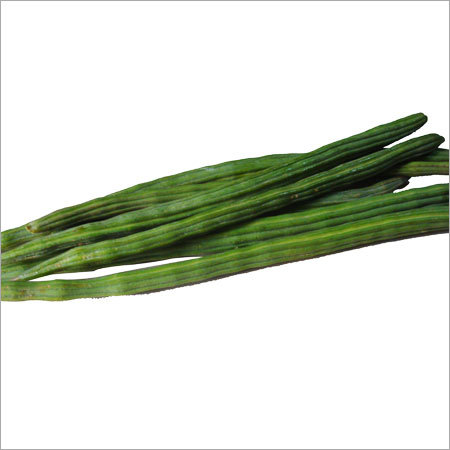 Drumstick