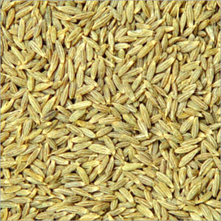 Cumin Seeds