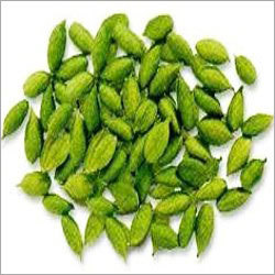 Cardamom