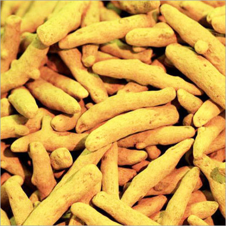 Turmeric