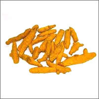 Turmeric Finger