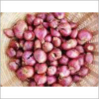 Small Onion