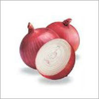Red Big Onion