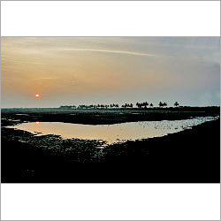Kolleru Lake Tour Packages