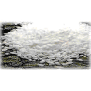 MALEIC ANHYDRIDE (MA)