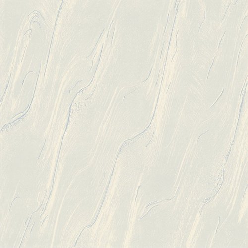 BLUERAY Vitrified Tiles