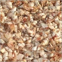 Dried Shrimp