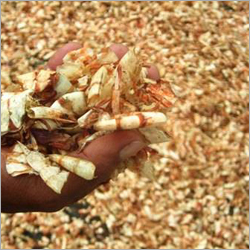 Dry Shrimp Shells