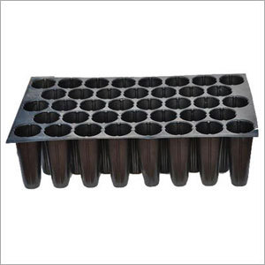 Seedling Tray 38 Cavity