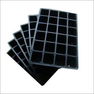 Seedling Tray