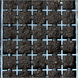 Propagation Trays