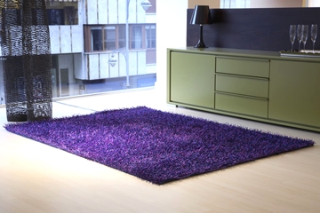 Modern Shaggy Carpets