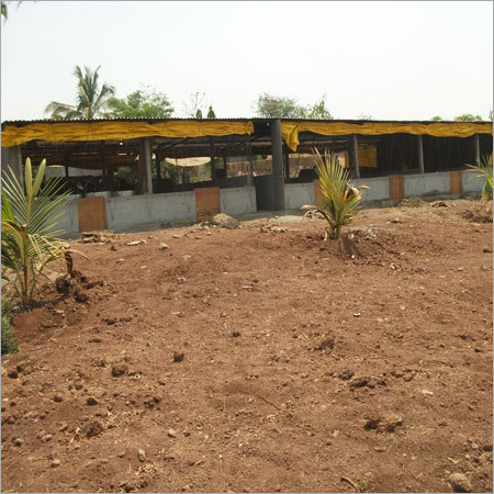 Emu Farming House