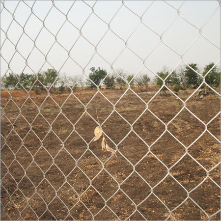 Domestic Emu Bird Farming