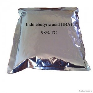 INDOLE BUTYRIC ACIDINDOLE ACETIC ACID