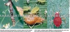 Biopesticides