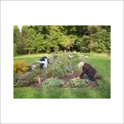 Garden Development