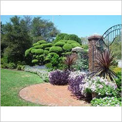 Horticulture Maintenance