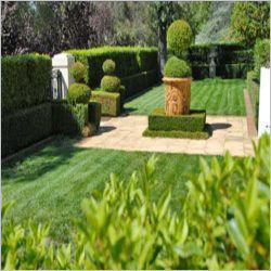 Horticulture Services