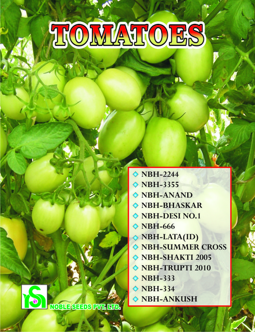 Tomato Seed