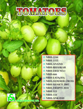 Tomato Seed
