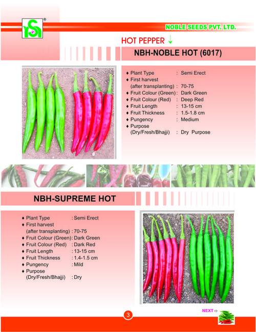 Fresh Hot Peppers Seeds