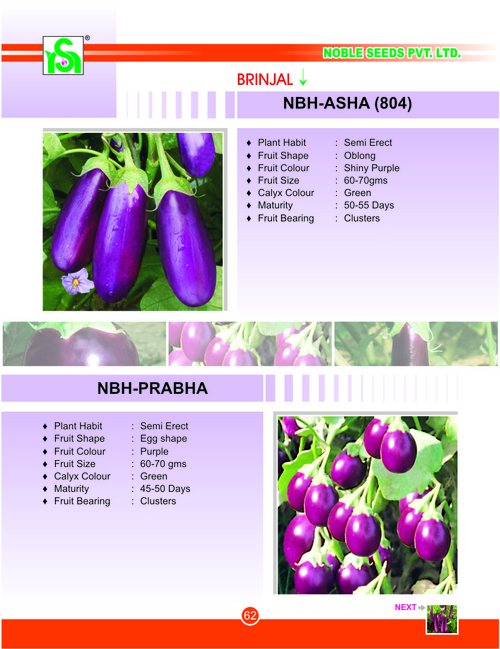 Brinjal Hybrid Seeds
