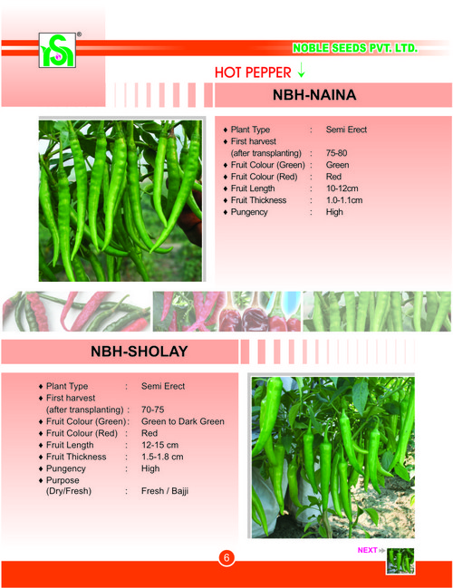 Red Hot Pepper Seeds