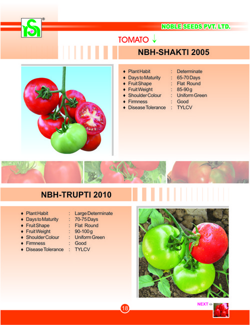 Green Tomato Seeds