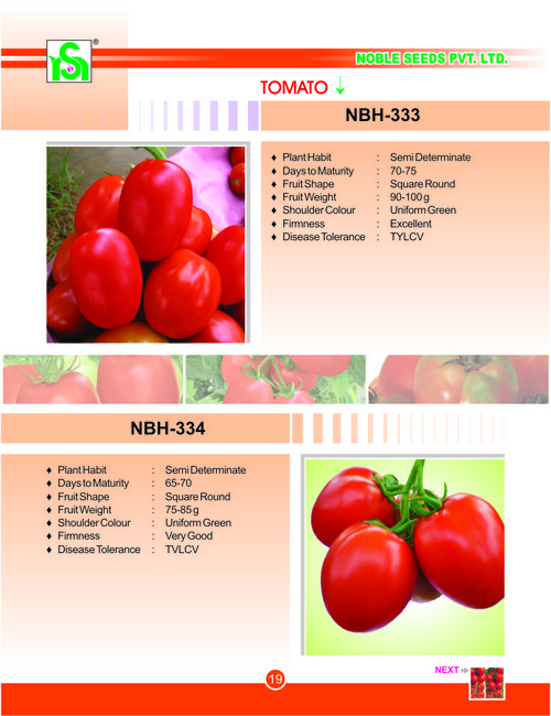 Red Tomato Seeds