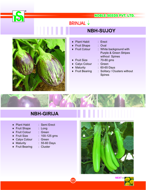 Green Brinjal Seeds