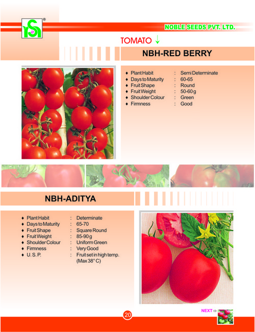 Uniform Green Tomato Seeds