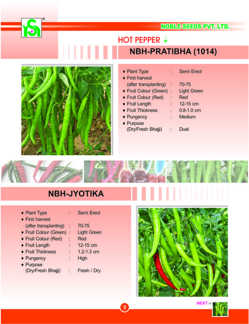 Green Pepper Seeds