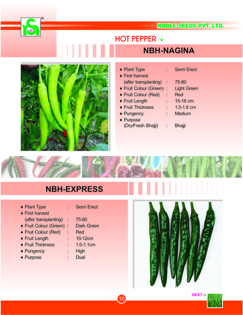 HOT PEPPER