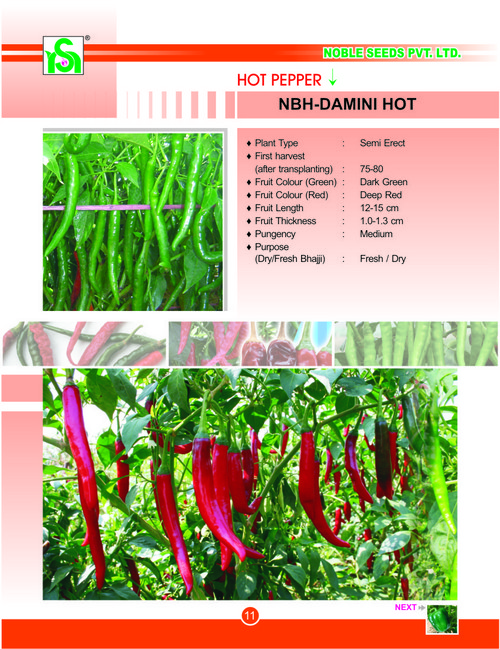 HOT PEPPER